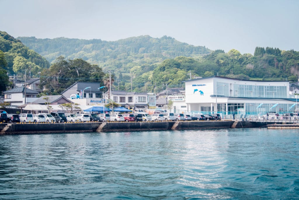 ホームページ素材 写真撮影　出張写真撮影Accy @watanabeakr イルカウォッチング　熊本の海で写真撮影　上天草から足を伸ばし五和沖合でイルカ撮影